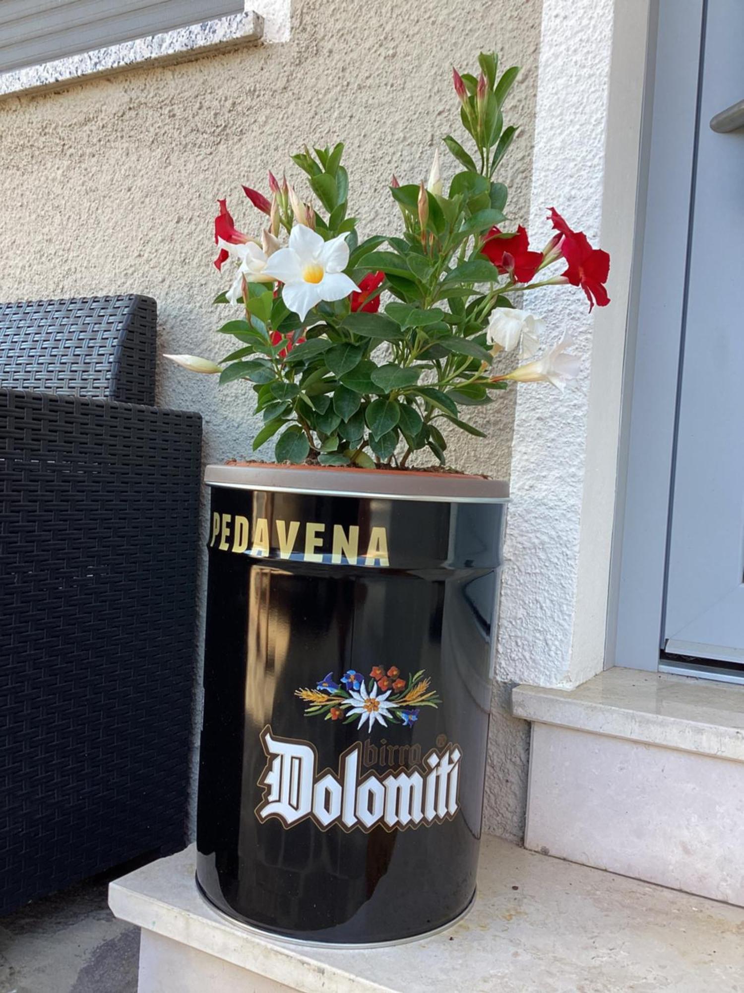 La Stella Delle Dolomiti Apartment Педавена Екстериор снимка